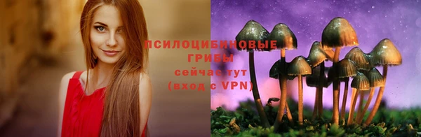 стаф Дмитров