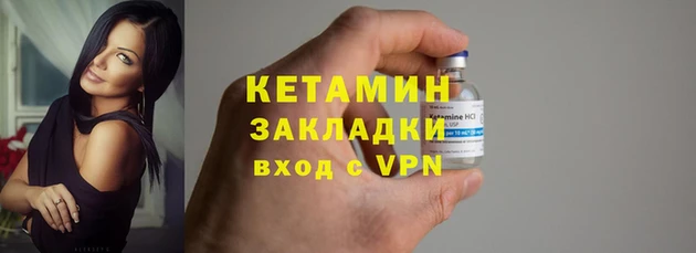 стаф Дмитров