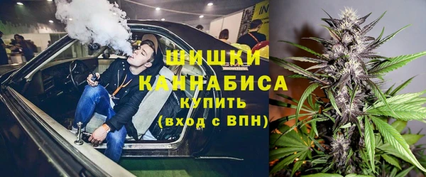 стафф Дмитриев
