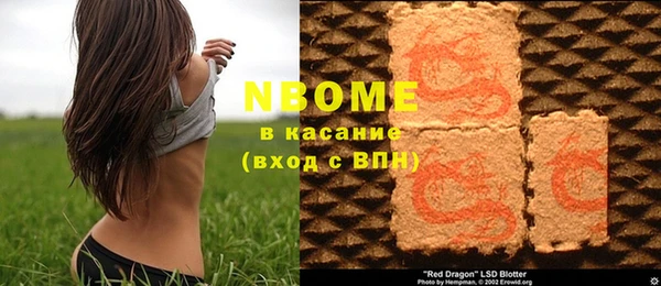 стаф Дмитров
