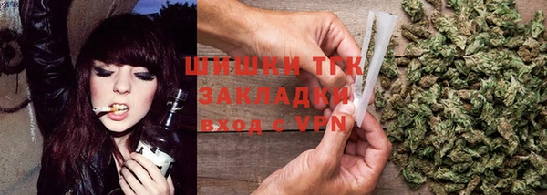 стаф Дмитров
