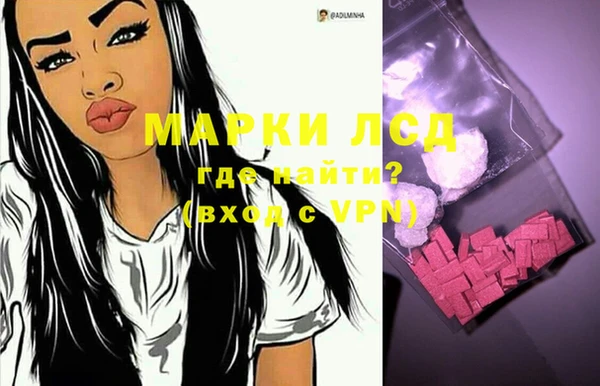 стаф Дмитров