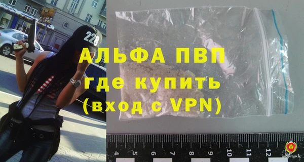 стафф Дмитриев