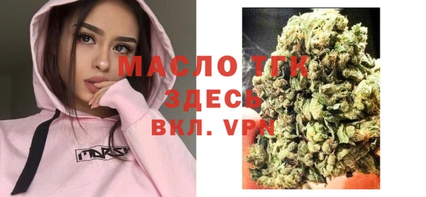 стаф Дмитров