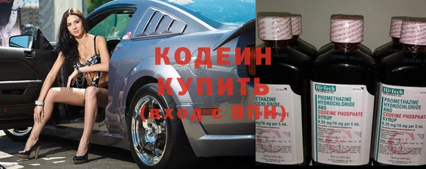 стафф Дмитриев