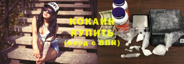 стафф Дмитриев