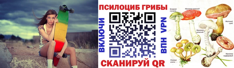 даркнет официальный сайт  кракен ONION  Петровск-Забайкальский  Псилоцибиновые грибы Magic Shrooms 